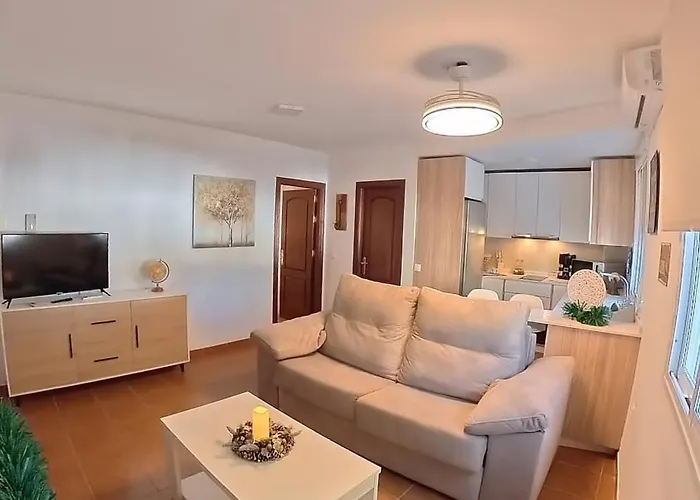 Nomada 1 El Bosque (Cadiz)